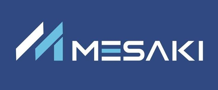 Mesaki